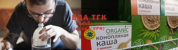 шишки Корсаков