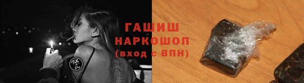гашик Краснослободск