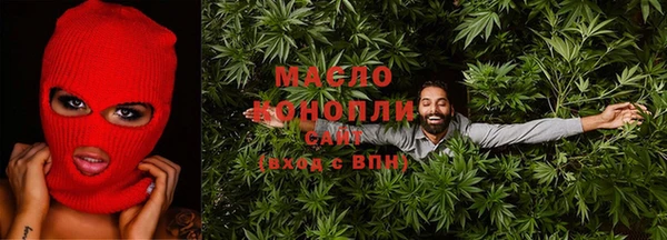 гашик Краснослободск