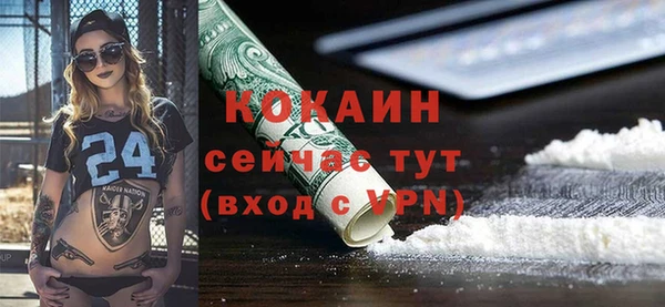 гашик Краснослободск