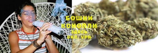 шишки Корсаков