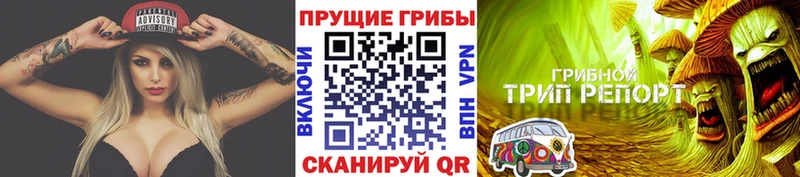 Псилоцибиновые грибы Magic Shrooms Кропоткин